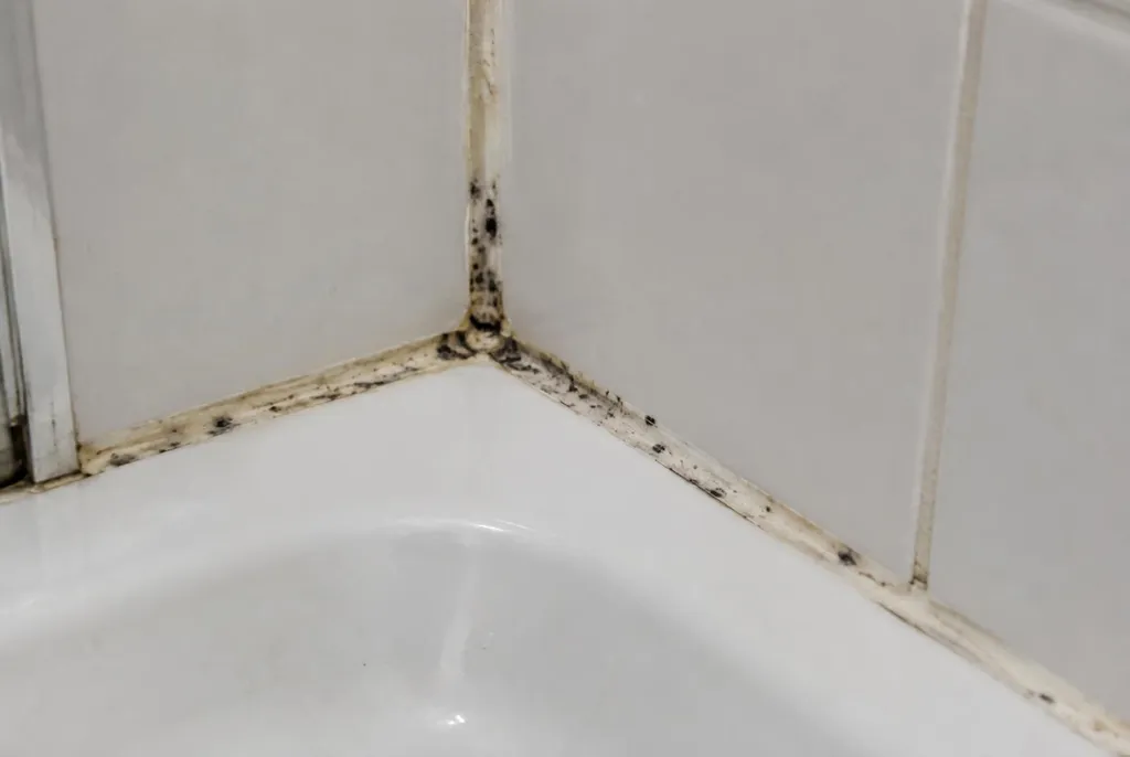 Kitbedrijf Rosmalen – beschimmelde kitranden